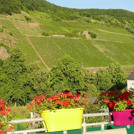 Pretty Flat In Between The Vines And The Moselle Trittenheim