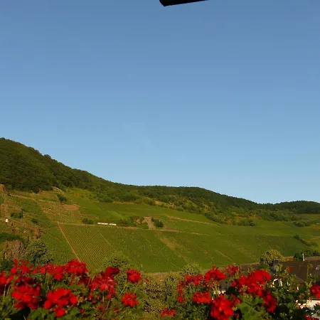 Pretty Flat In Between The Vines And The Moselle * Trittenheim