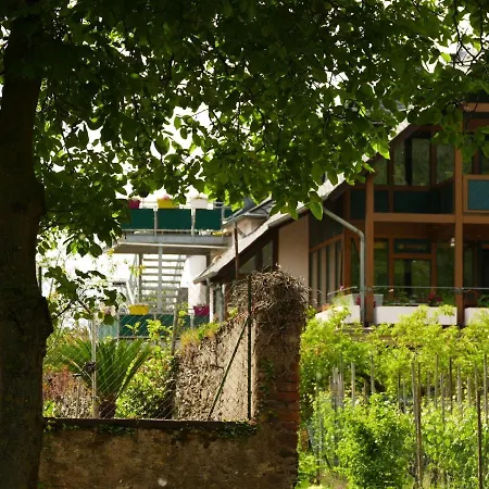 Pretty Flat In Between The Vines And The Moselle Apartamento
