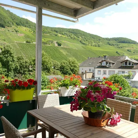 Pretty Flat In Between The Vines And The Moselle * Trittenheim