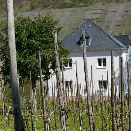 Pretty Flat In Between The Vines And The Moselle Trittenheim