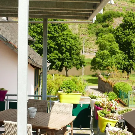 Pretty Flat In Between The Vines And The Moselle Apartamento *