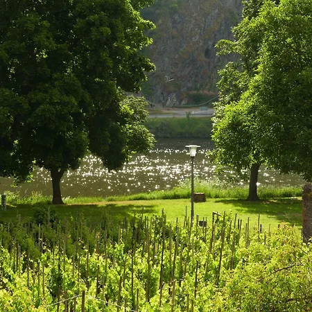 Pretty Flat In Between The Vines And The Moselle *
