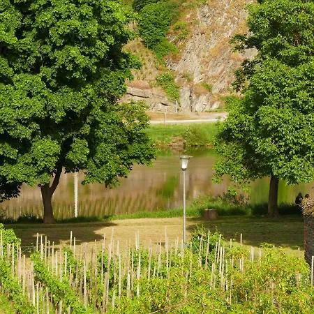 Pretty Flat In Between The Vines And The Moselle Apartamento